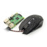 Фото #3 товара Optical mouse USB Esperanza Lightning EGM211R