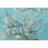 Фото #2 товара Fototapete van Gogh Almond Blossom