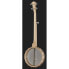 Deering Goodtime Deco Banjo