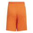 Фото #3 товара Shorts adidas Squadra 21 Jr GN8082