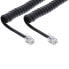 Фото #2 товара InLine Coiled Cord RJ10 direct assigned male / male - black - up to 2m