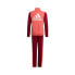 Adidas HE2002 165 - 170 cm/XL Girls - фото #2