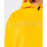Фото #2 товара SUPERDRY Vintage Corp Logo Gd hoodie