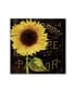 Фото #1 товара Color Bakery 'Sunflower Salon I' Canvas Art - 14" x 14"