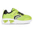 Фото #2 товара GEOX Assister trainers