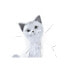 Фото #3 товара Декоративная фигура DKD Home Decor Белый кот романтик 30 x 40 cm 9 x 9 x 24 cm