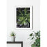 Фото #5 товара Wandbild Succulent Single