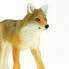 SAFARI LTD Coyote Figure