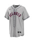 Фото #3 товара Men's Nolan Arenado Gray St. Louis Cardinals 2024 Rickwood Classic Replica Player Jersey