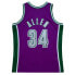 Mens Mitchell & Ness NBA SWINGMAN JERSEY - MILWAUKEE BUCKS 2001 RAY ALLEN