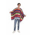 Costume for Adults Monterrey Poncho