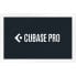 Steinberg Cubase Pro 13 License Code - фото #1