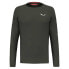 Фото #3 товара SALEWA Pedroc Dry long sleeve T-shirt