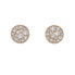 Silver earrings Hot Diamonds Emozioni Scintilla Rose Gold DE457