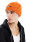 Tommy Jeans ribbed flag logo beanie in orange