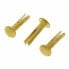 Фото #1 товара Meinl Sizzle Rivets Brass Plated