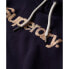 SUPERDRY Metallic Core Logo hoodie