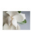 Фото #1 товара PhotoINC Studio Magnolia White and Gray Canvas Art - 27" x 33.5"