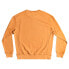 QUIKSILVER EQYFT04508-NEW0 Trip Away sweatshirt