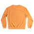 Фото #4 товара QUIKSILVER EQYFT04508-NEW0 Trip Away sweatshirt