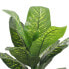 Kunstpflanze Pothos RE7037