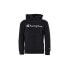 Фото #1 товара Champion Hooded Sweatshirt