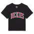 DICKIES Aitkin short sleeve T-shirt