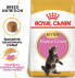 Фото #4 товара сухой корм для кошек Royal Canin, для котят породы мейн-кун