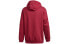 Adidas Originals TS TRF Hoody ED7116 Sweatshirt