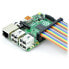 Фото #3 товара Cable IDC 40 pin female-female 60 cm Raspberry Pi 4B/3B+/3B/2B