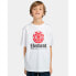 ფოტო #1 პროდუქტის ELEMENT Vertical short sleeve T-shirt