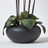 Фото #9 товара Искусственные цветы Homescapes Orchidee Gesteck creme mit schwarzem Keramiktopf