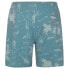 PROTEST Ahe Swimming Shorts