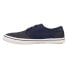 Фото #3 товара TOMS Carlo Lace Up Mens Blue Sneakers Casual Shoes 10018106T