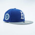 Фото #2 товара [70733322] Mens New Era MLB BROOKLYN DODGERS 5950 FITTED 'SONG BIRD ASG'