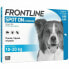 Фото #1 товара Пипетка для собак Frontline Spot On 10-20 Kg
