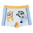 CERDA GROUP Bluey Swim Boxer