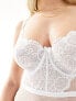 Фото #5 товара Ivory Rose Fuller Bust Bridal Vienna DD-G mesh lace bodysuit in white