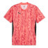 Фото #2 товара PUMA Individual Final FF short sleeve T-shirt