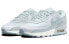 Кроссовки Nike Air Max 90 DJ5415-400