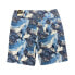 Фото #2 товара Hurley Men's One and Only Gradient Swim Board Short