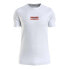 Фото #1 товара CALVIN KLEIN JEANS Transparent Stripe Logo short sleeve T-shirt