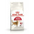 Cat food Royal Canin Feline Fit Adult Rice 2 Kg