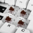 Фото #4 товара Sharkoon Tactile Gateron PRO BROWN - Keyboard switches - Brown - White