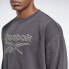 Фото #2 товара [FT7406] Mens Reebok Classics Premium Vector Crew Sweatshirt