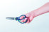 Фото #6 товара Pelikan SC1RB - Child - Straight cut - Set - Blue - Right-handed - Offset handle