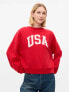 Фото #1 товара Vintage Soft USA Sweatshirt