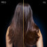 Фото #3 товара Маска увлажняющая для жирных волос и сухих кончиков Botanic Therapy Magnetic Charcoal (Hair Remedy) 340 мл