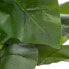 Decorative Plant Green 95 cm Arum lily