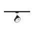 Фото #1 товара PAULMANN Arena - Rail lighting spot - Non-changeable bulb(s) - 3 bulb(s) - LED - 4000 K - Black - Chrome